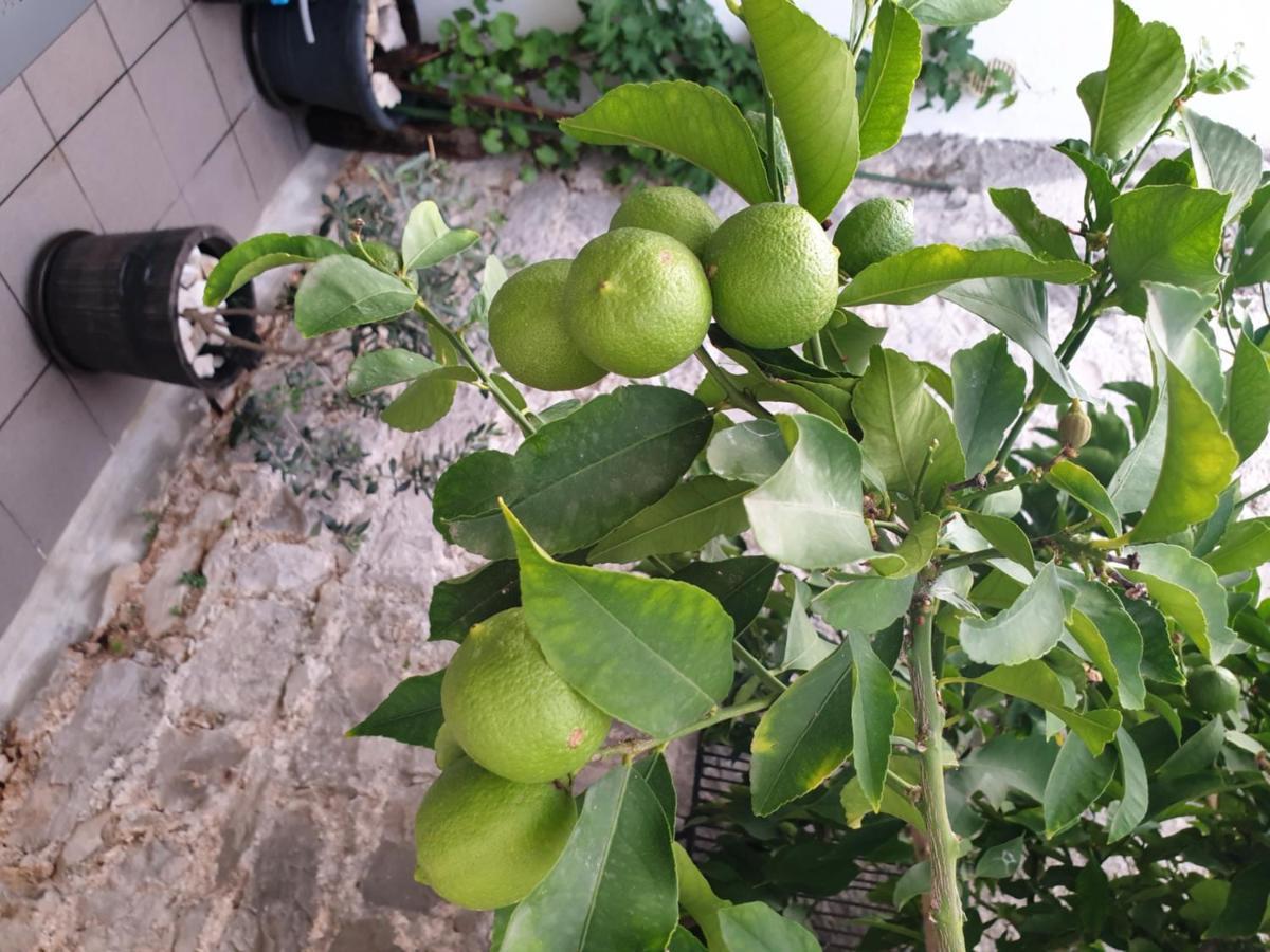 فندق Lemon Tree سيغيت دونيي المظهر الخارجي الصورة