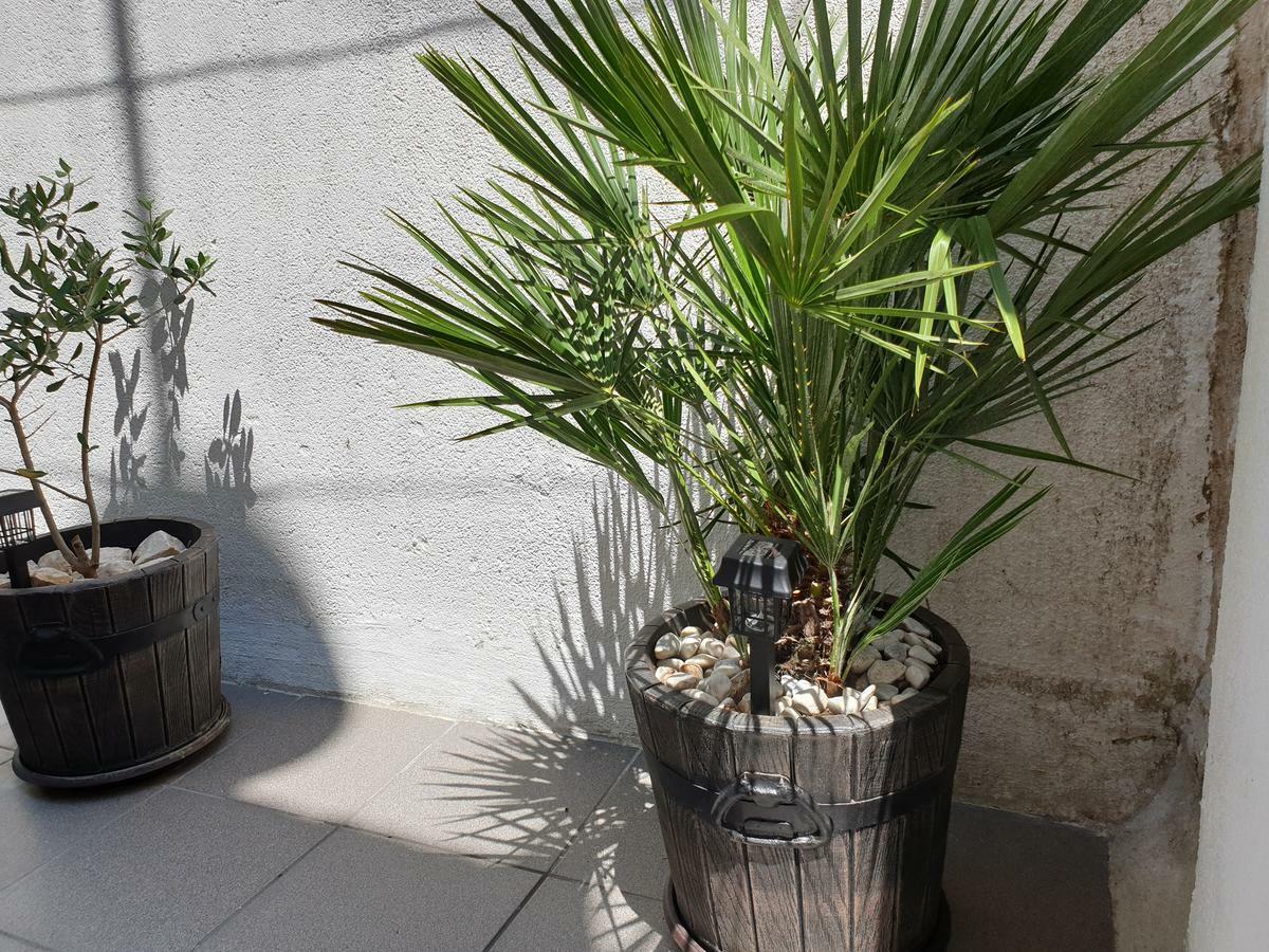 فندق Lemon Tree سيغيت دونيي المظهر الخارجي الصورة